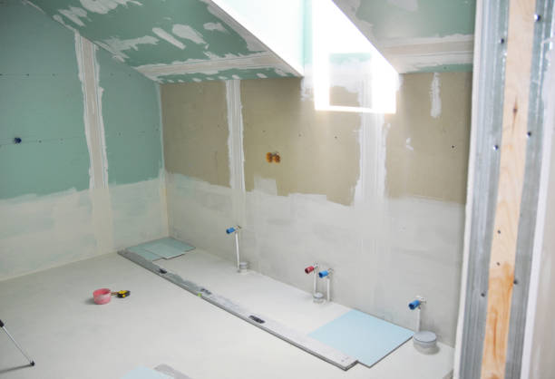 Best Airborne Mold Testing  in South Bound Brook, NJ