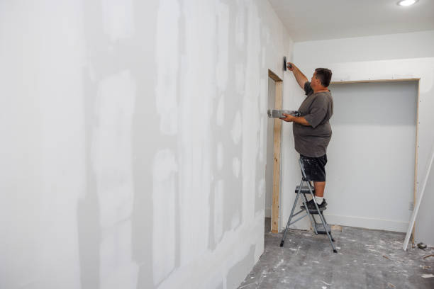 South Bound Brook, NJ Mold Removal Company